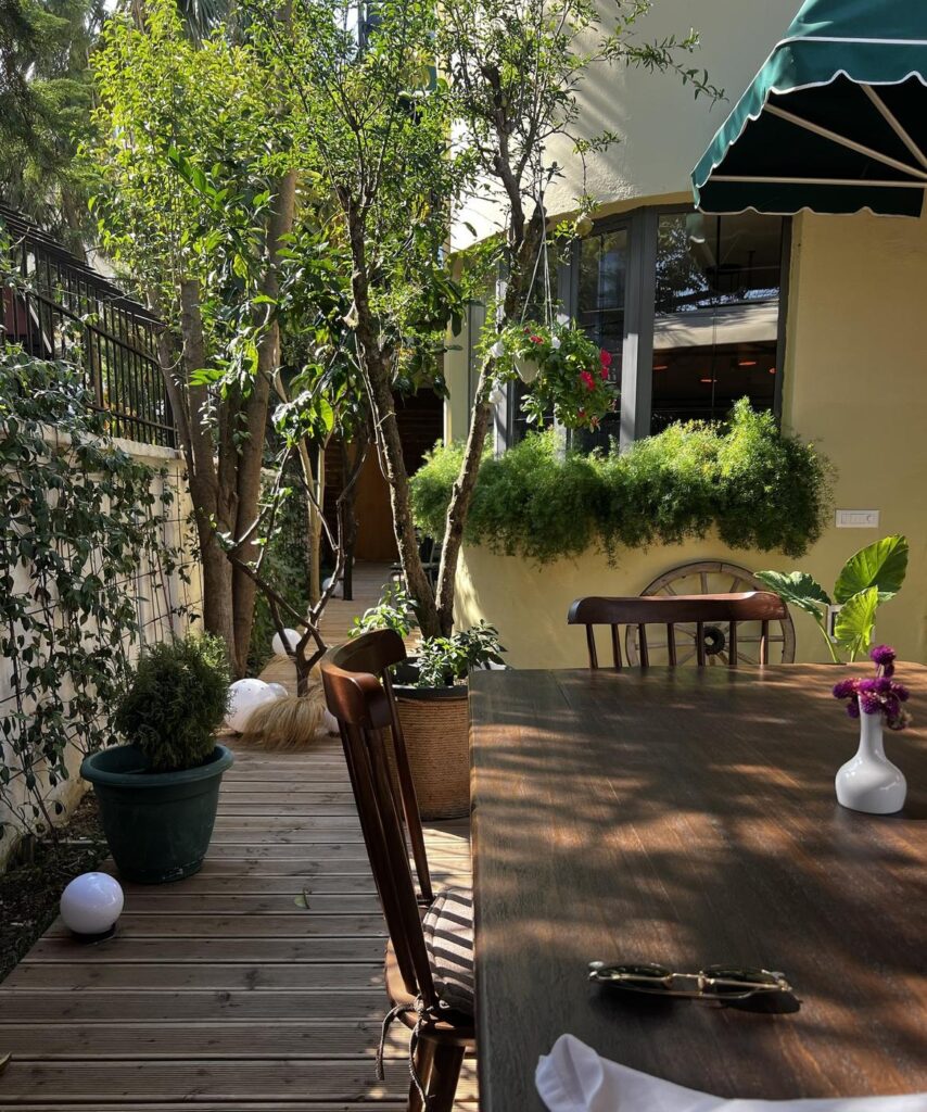 The finished courtyard deck under the existing trees